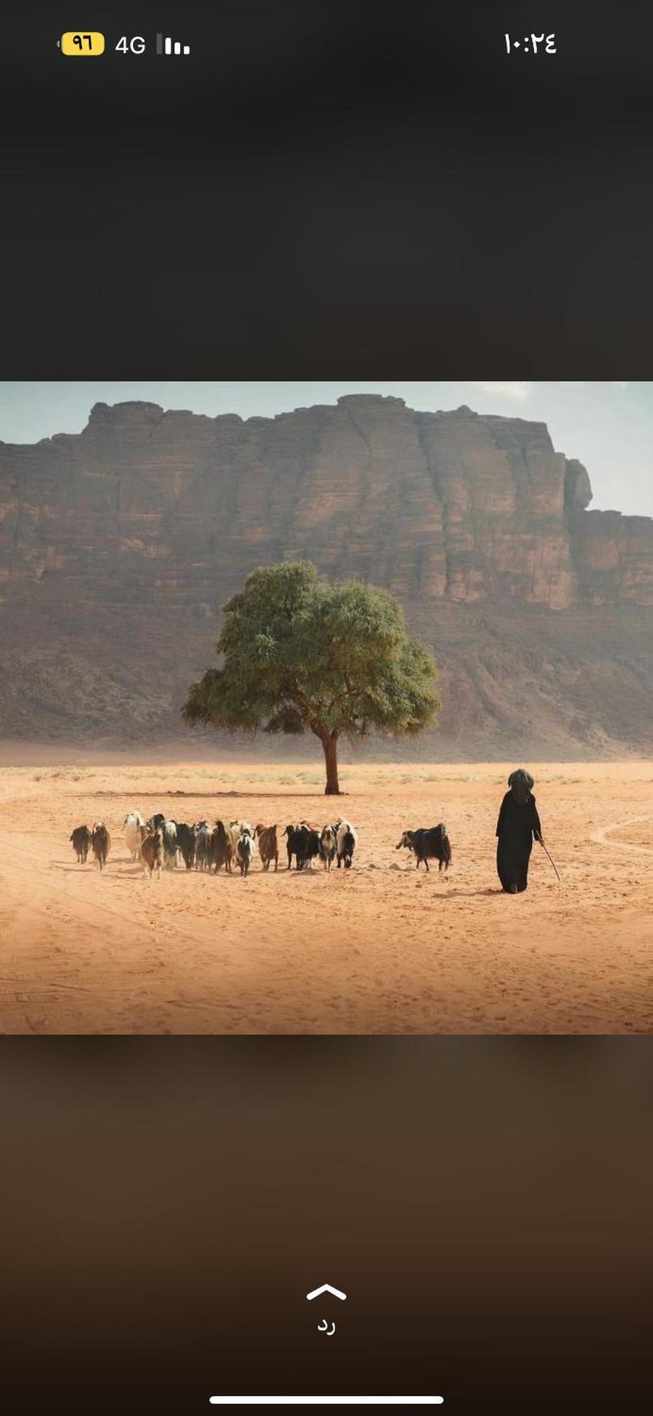 Bedouin Future Camp Wadi Rum Exterior foto