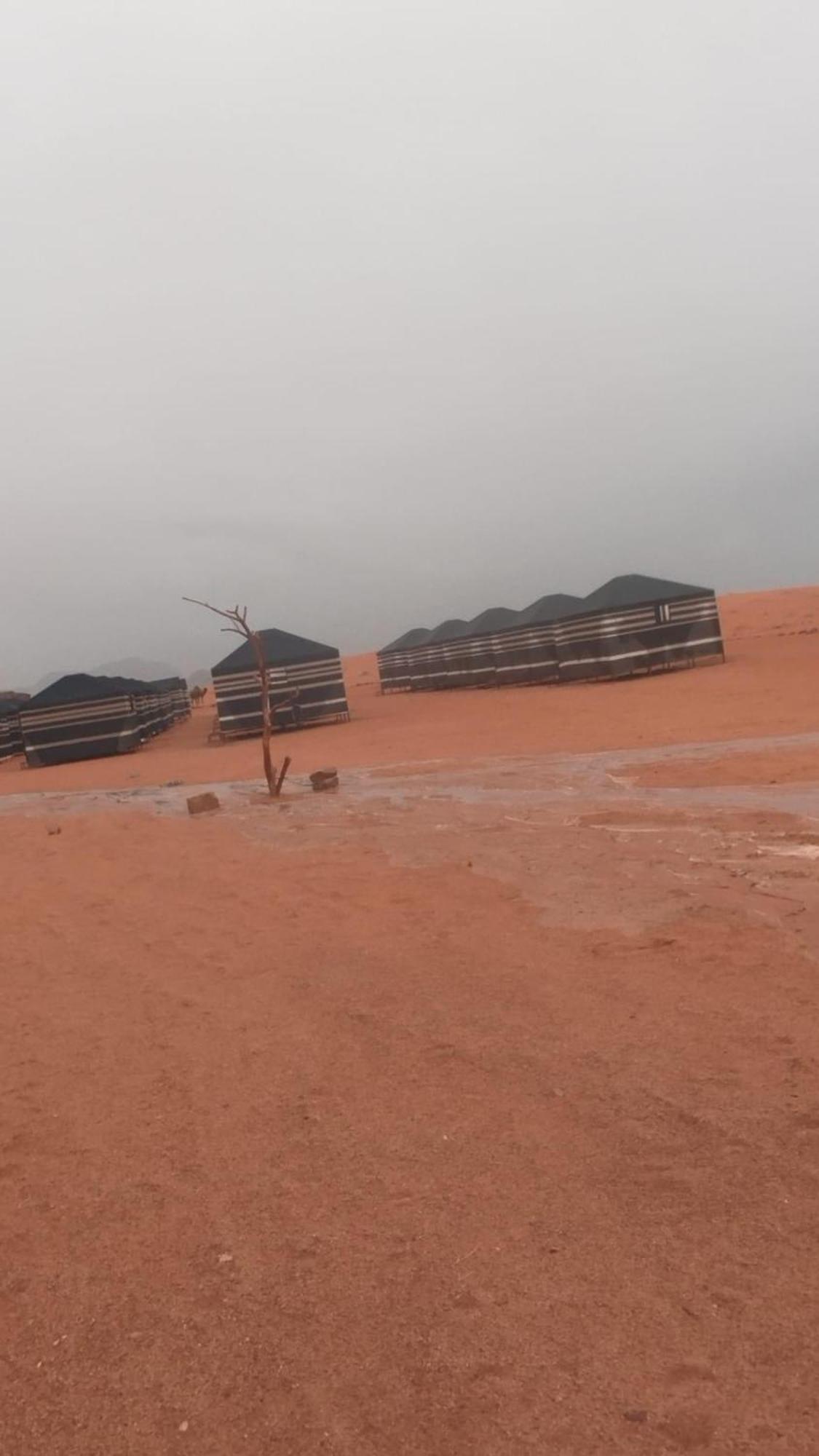 Bedouin Future Camp Wadi Rum Exterior foto